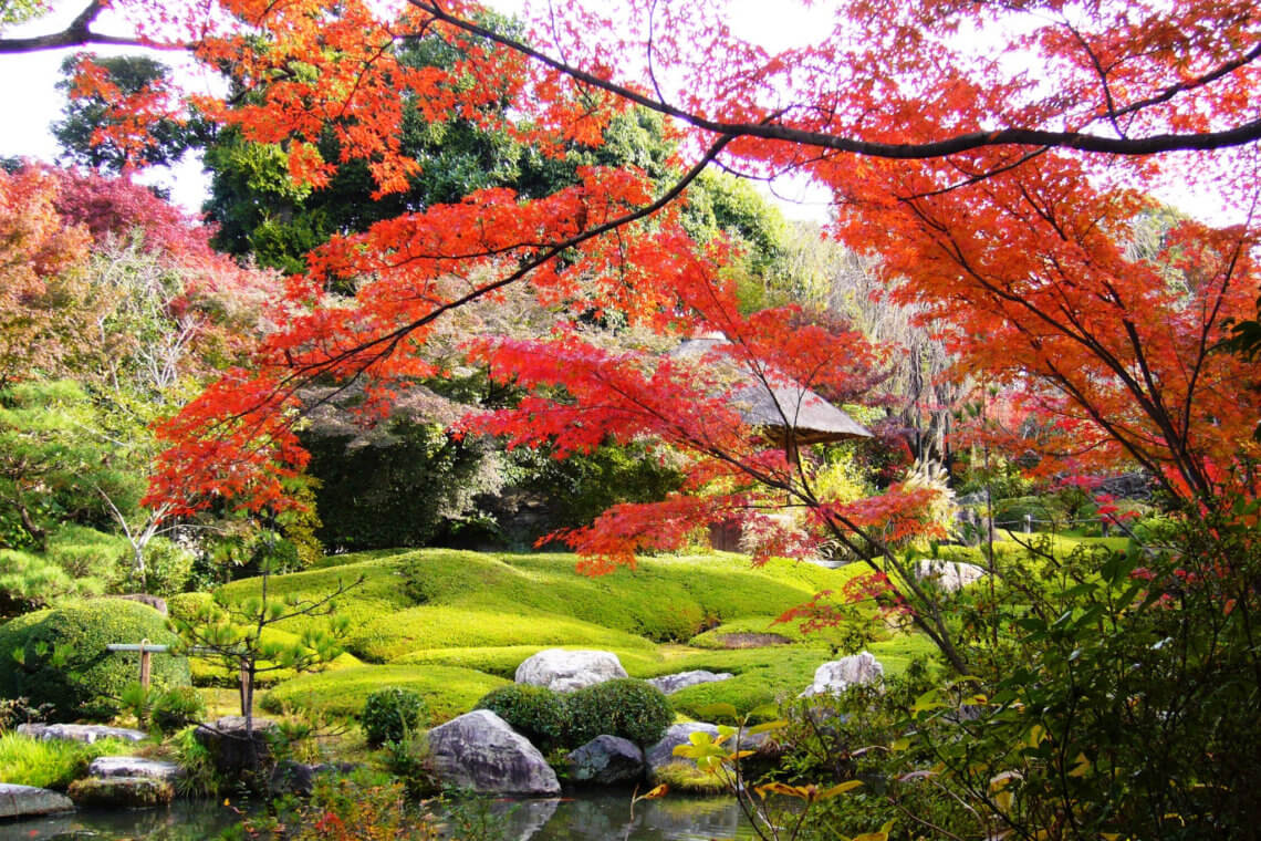 京都太左仁寺的阳阳园