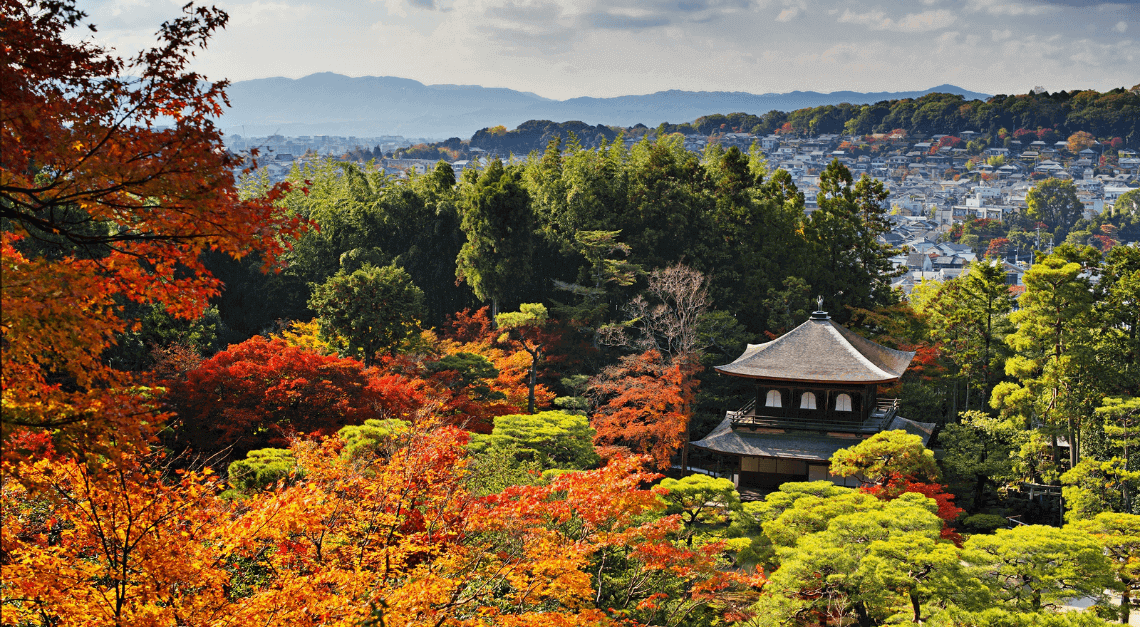 日本京都东山区银阁银角寺的秋天