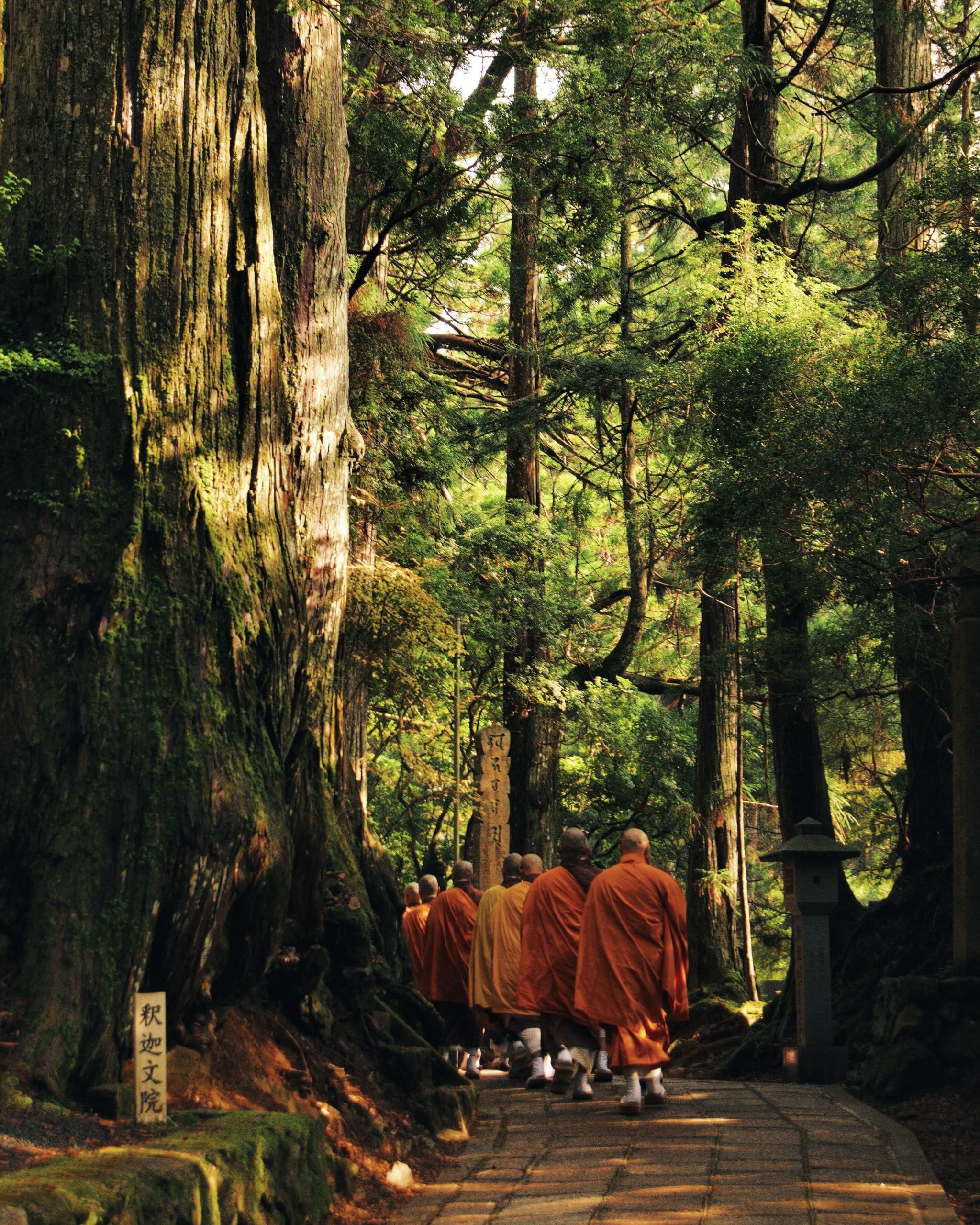 在日本高谷山上行走的佛教僧人