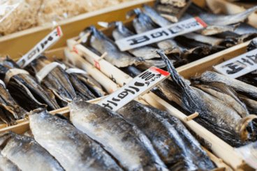 日本东京筑地鱼市场
