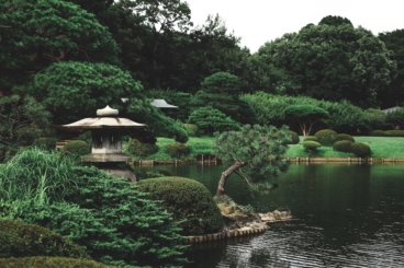 日本东京新宿Gyoen国家花园