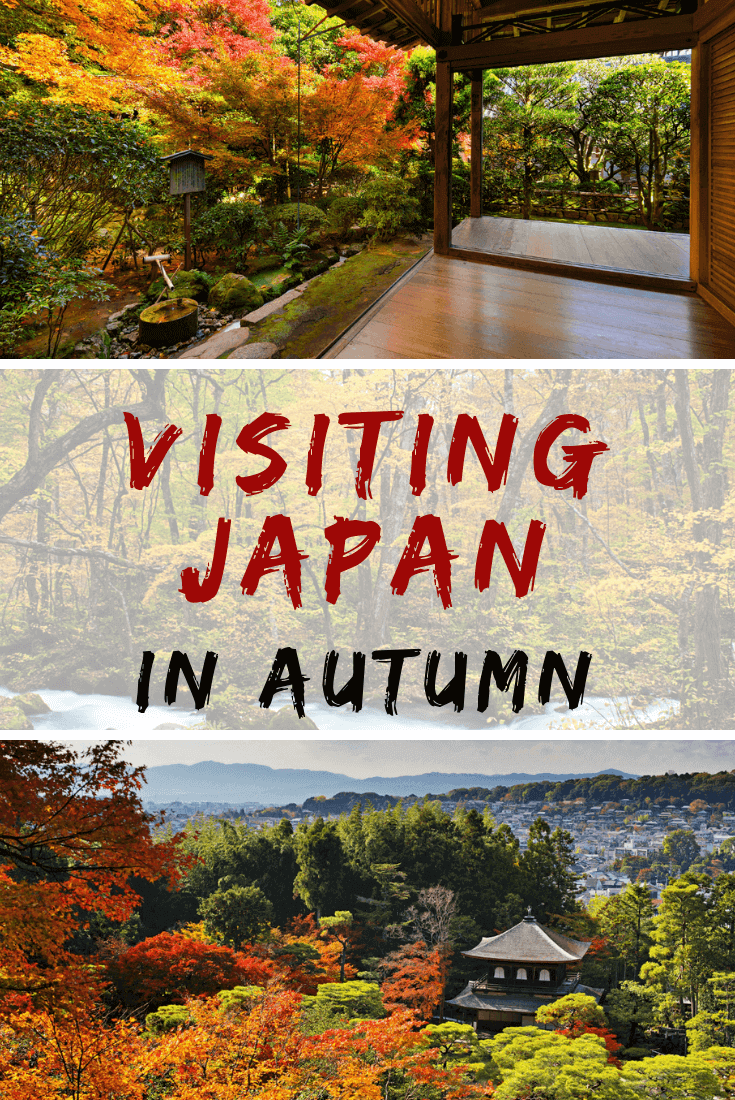 日本的秋天，枝繁叶茂，美得令人惊叹。下面的指南将帮助你在秋天的日本之旅中获得最大的收获!