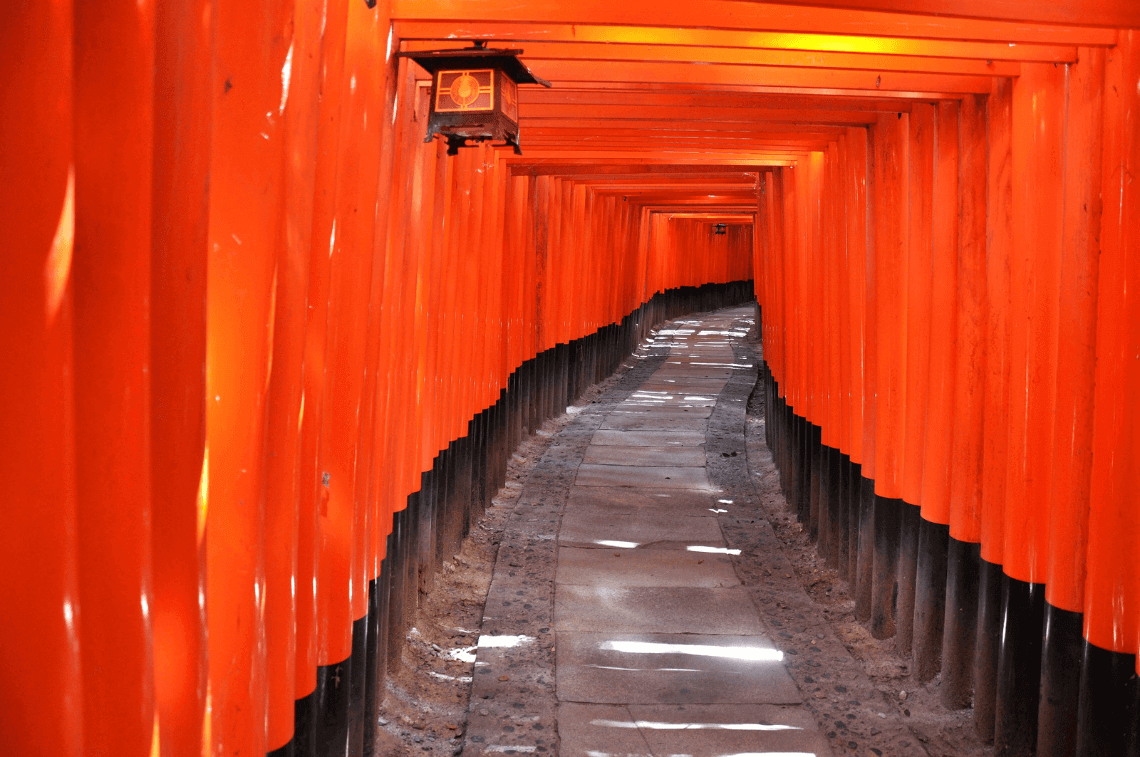 日本京都稻成神社红橙鸟居门1140号