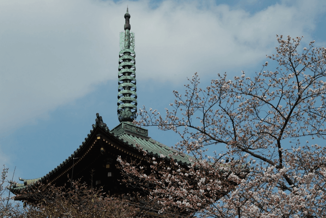 日本东京上野公园toezan Kanei-ji Endon-in的春天樱花盛开